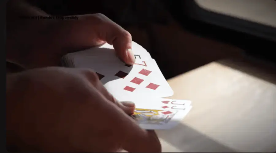 Casino uden rofus plejmo